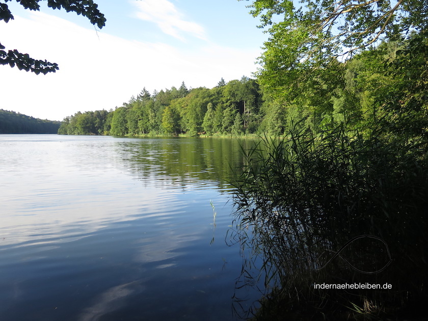 Schmalsee Mölln 