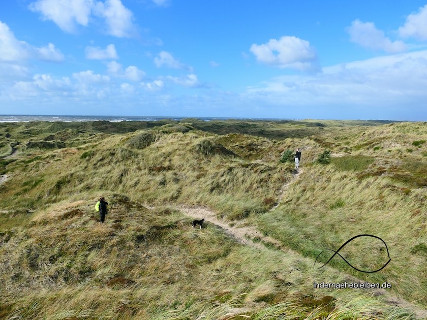 Henne Strand